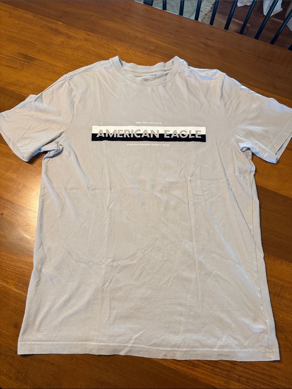 American Eagle Outfitters Light Gray Graphic Logo Tee